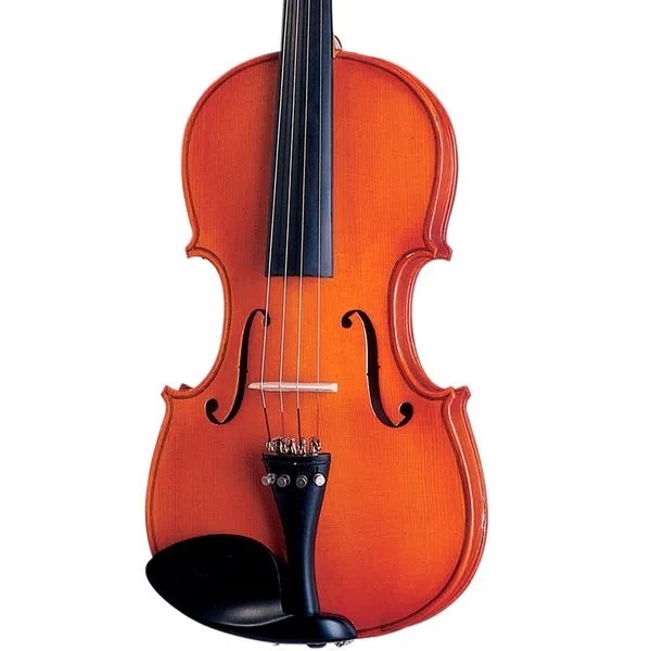 Violino Michael VMN 10 1/4 Completo - Imagem 2