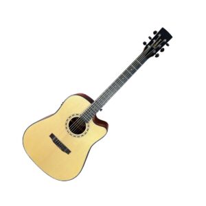 Violão Waldman DCEX 1141 NB