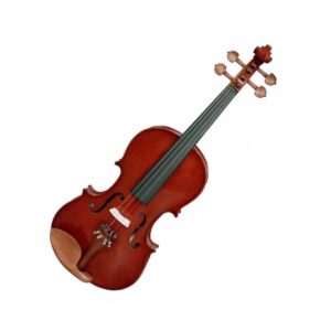 Violino Giannini GVL 4/4 Completo