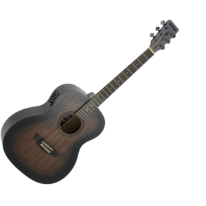 VIOLAO STRINBERG FOREST FS1A TBS ARTISTICO