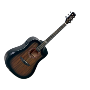 VIOLAO STRINBERG SD301HCR GALAXY TBS FOSCO COM BAG