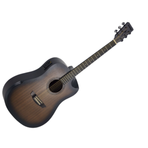 VIOLAO STRINBERG FOREST FS4D HCR TBS