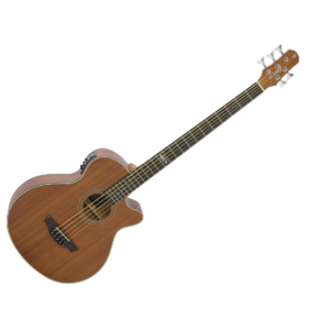 BAIXOLÃO STRINBERG SB250C MGS 5 CORDAS